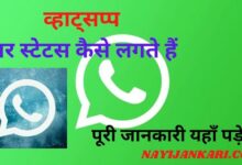 Whatsapp Par Status Kaise Lagate Hain, Photo, Video, GIF or Text
